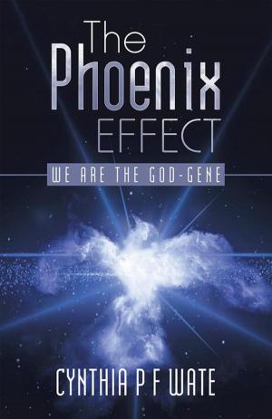 Cover of the book The Phoenix Effect by J. Renee Trombley