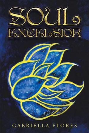 Cover of the book Soul Excelsior by Silas Kryst