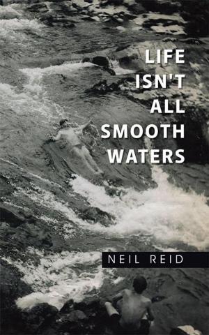 Cover of the book Life Isn't All Smooth Waters by Nevine Miller