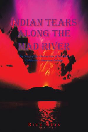 Cover of the book Indian Tears Along the Mad River by Jery Tillotson