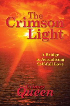 Cover of the book The Crimson Light by Jennifer S Hartley