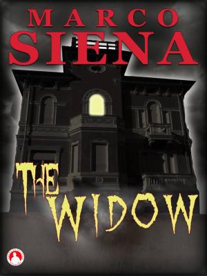 Cover of the book The Widow by Catherine Banks