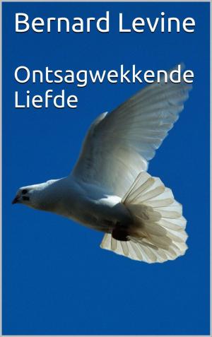Cover of the book Ontsagwekkende Liefde by Sabine Raschhofer