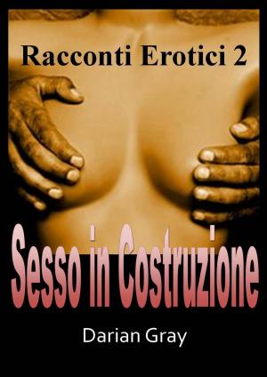 Cover of the book Sesso in costruzione. Racconti erotici 2 by Ellie King