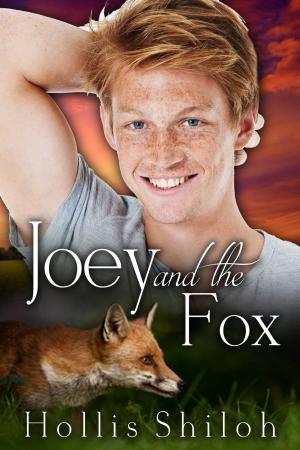 Cover of the book Joey and the Fox by Sheryl Westleigh