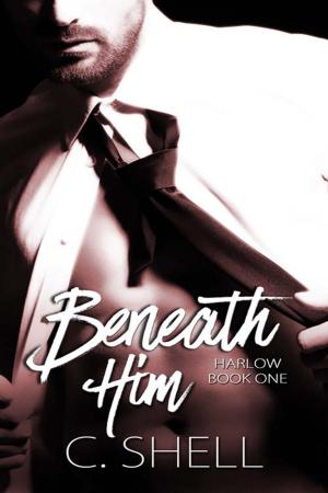Cover of the book Beneath Him by Karen Van Den Heuvel