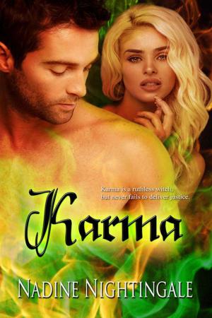 Cover of the book Karma by Ally Blue