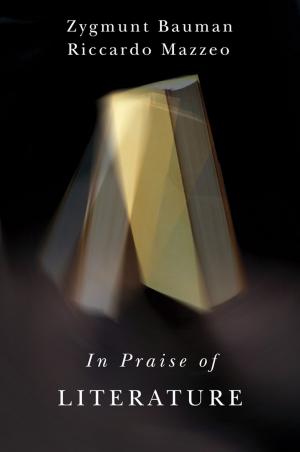 Cover of the book In Praise of Literature by Peter Fisk