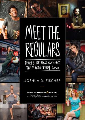 Cover of the book Meet the Regulars by Jennifer Jansch