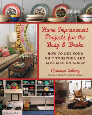 Cover of the book Home Improvement Projects for the Busy & Broke by Michelle Savage