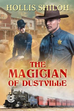 Book cover of The Magician of Dustville