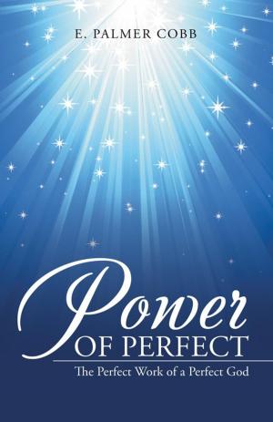 Cover of the book Power of Perfect by Dr. Paul L. Freeman Jr.
