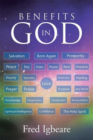 Cover of the book Benefits in God by Cho Larson