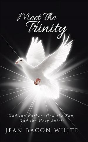 Book cover of Meet the Trinity