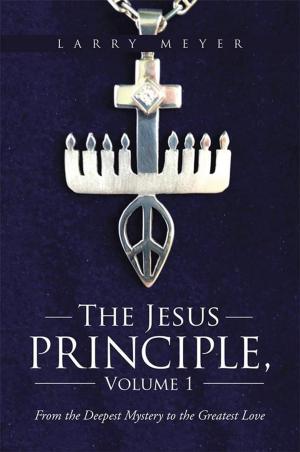 Cover of the book The Jesus Principle, Volume 1 by Biodun Samuel Adepetu