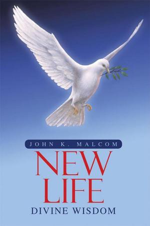 Cover of the book Divine Wisdom by Kemi Faloye