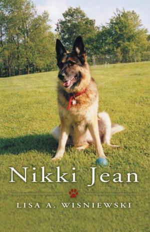 Cover of the book Nikki Jean by Daniel J. Carlson