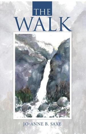 Cover of the book The Walk by John David Haffenden
