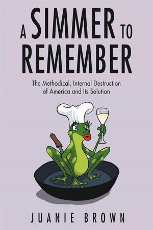 Cover of the book A Simmer to Remember by James A. Eldred
