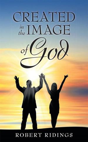 Book cover of Created in the Image of God