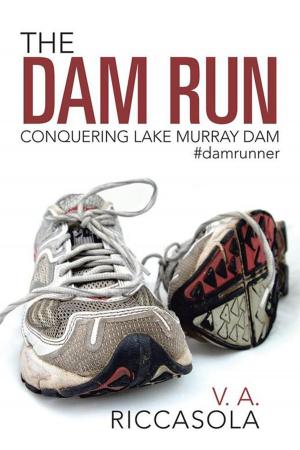 Cover of the book The Dam Run by David A. Kroll