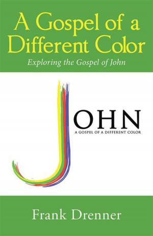 Cover of the book A Gospel of a Different Color by Bonnie Taylor
