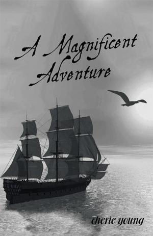 Cover of the book A Magnificent Adventure by Alan Schmitt