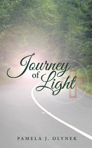 Cover of the book Journey of Light by W D Taylor