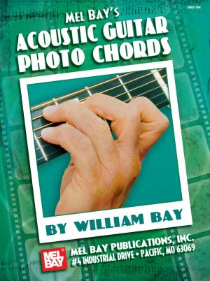 Cover of the book Acoustic Guitar Photo Chords by Vince Corozine