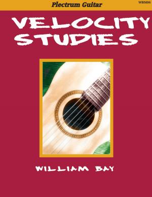 Cover of the book Velocity Studies by Marty Laster