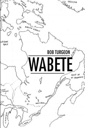 Cover of the book Wabete by Quincy Mack