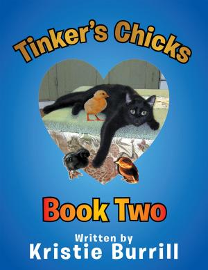 Cover of the book Tinker's Chicks by Carolyn Nield