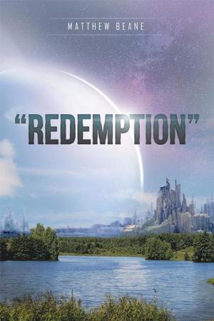 Cover of the book “Redemption” by Benjamin R. Babst