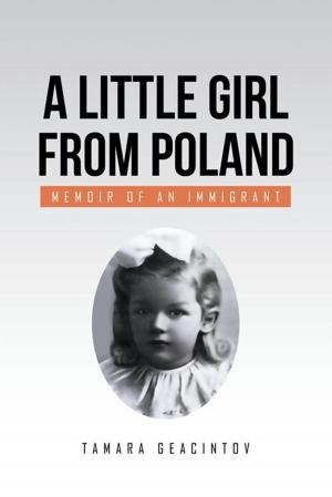 Cover of the book A Little Girl from Poland by Robert Louis Tegenkamp