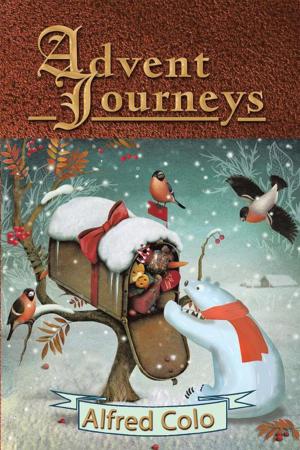 Cover of the book Advent Journeys by Rob Ruediger