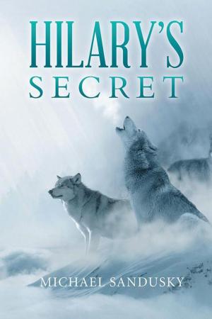 Book cover of Hilary’S Secret