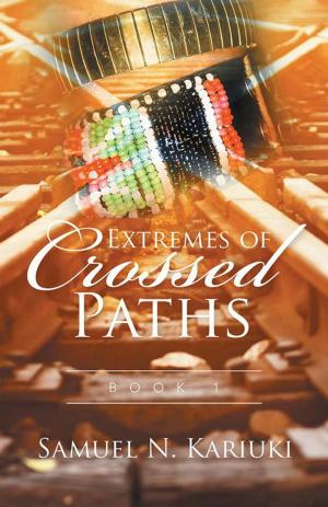Cover of the book Extremes of Crossed Paths by John Schreiber