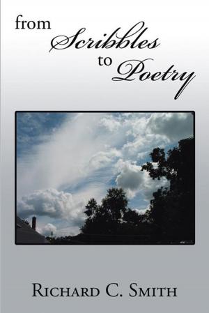 Book cover of From Scribbles to Poetry