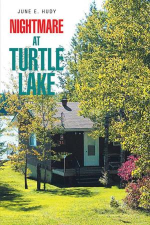 Cover of the book Nightmare at Turtle Lake by Glen Thomas Hierlmeier