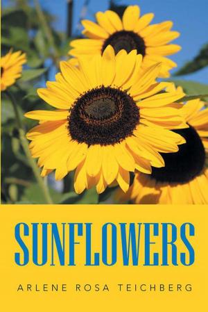 Cover of the book Sunflowers by Robert Noyola