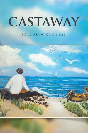 Cover of the book Castaway by Martin L. Vanderhook