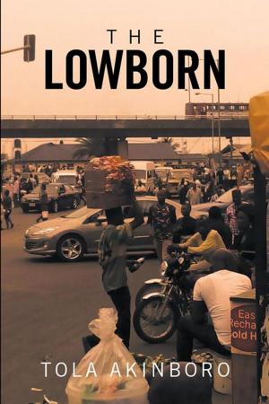 Cover of the book The Lowborn by Mary Martina Dockter