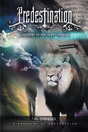 Cover of the book Predestination by Carsten-Joel Sentamu