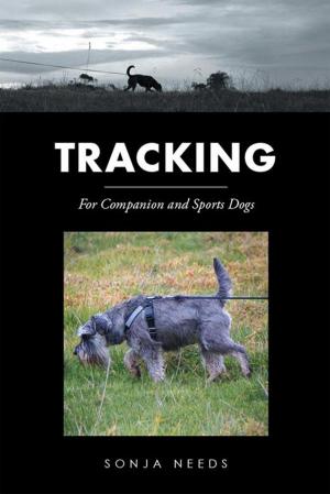Cover of the book Tracking by Tito Kithes Athano