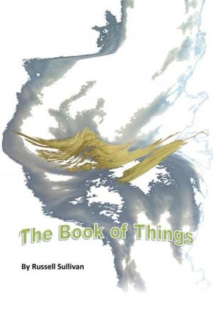 Cover of the book The Book of Things by Patricia Lucock