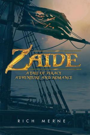 Cover of the book Zaide by Nicola Di Matteo