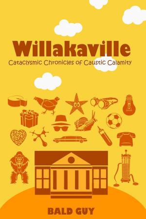 Book cover of Willakaville: Cataclysmic Chronicles of Caustic Calamity