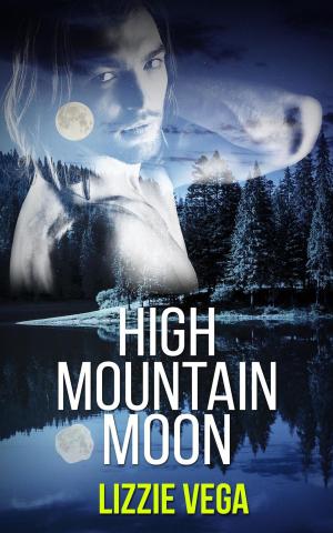 Book cover of High Mountain Moon