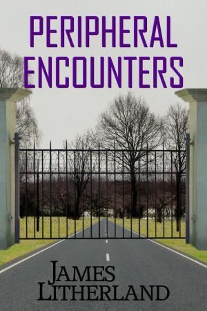 Cover of the book Peripheral Encounters by Andy Merrick