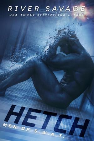 Cover of the book Hetch by M. Clarke